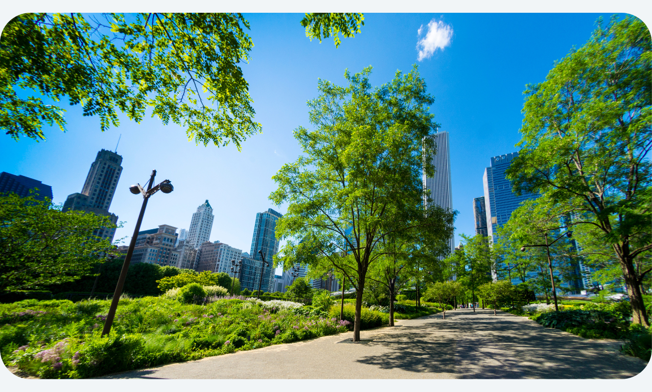 chicago